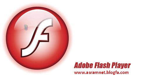 ninite flash player